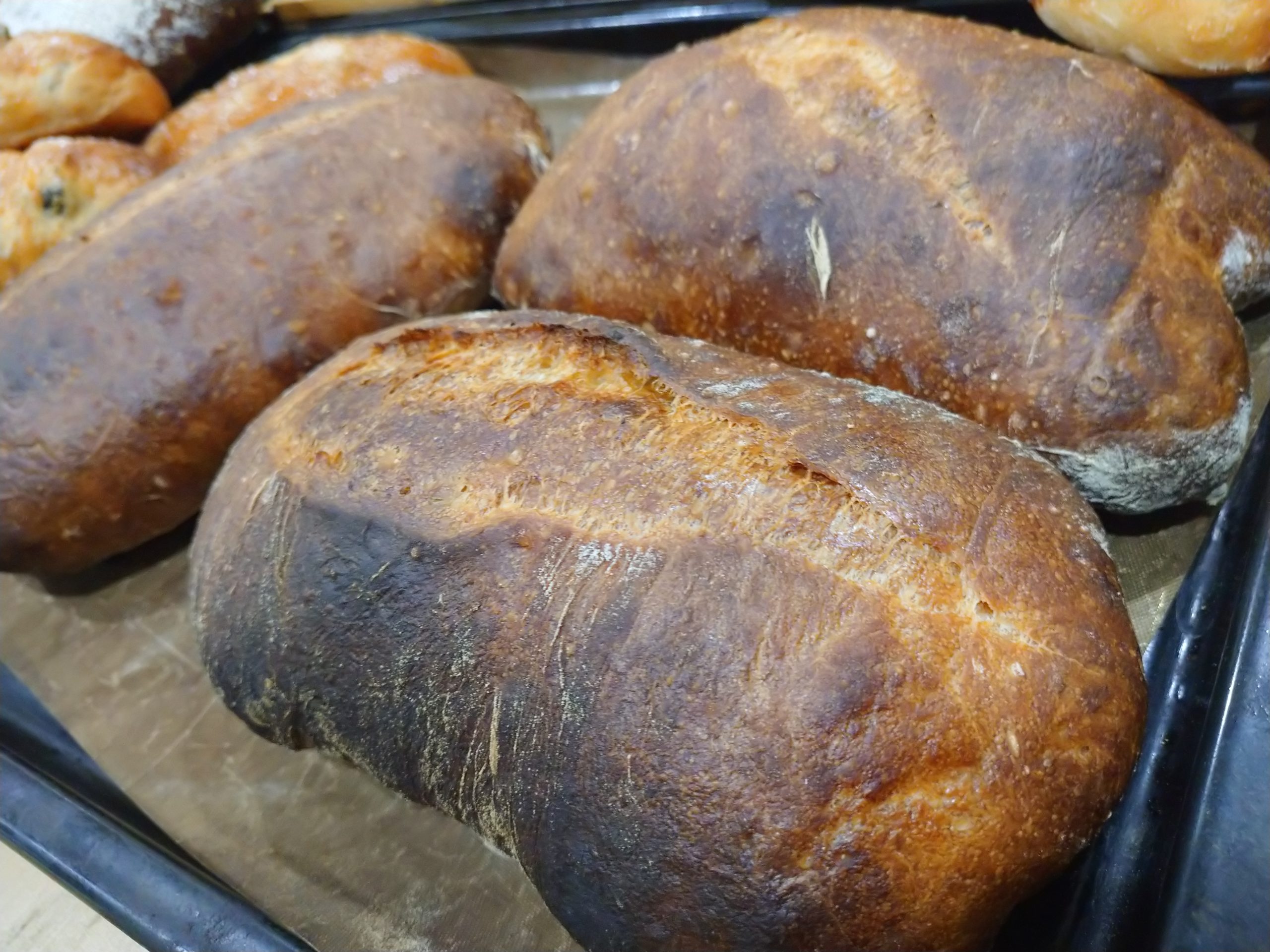 自家製酵母のパンを作りたい方